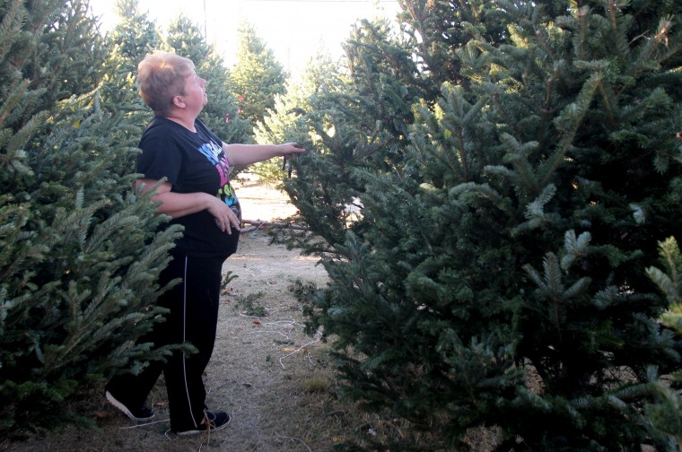 Christmas Tree Lot
